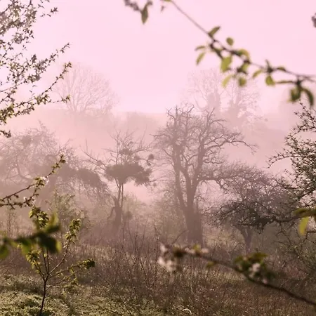 Presbytere En Basse-normandie *