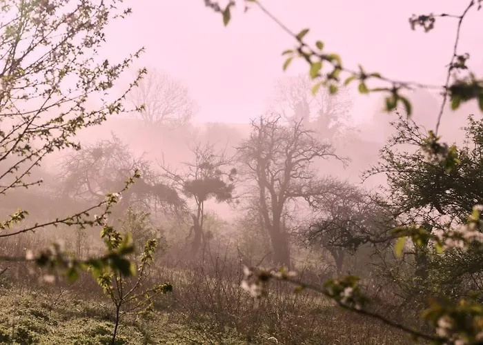 Presbytère En Basse-normandie *
